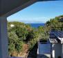 Wonderful property of 4 apartments in Basina Bay on Hvar - pic 4