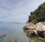 Plus grande partie d'une île verte au sein du magnifique archipel des Kornati - pic 2