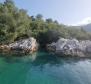 Wonderful island for sale in Dubrovnik area - ISLAND for sale as a whole - pic 19