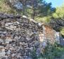 Agricultural land plot for sale 24.000 sqm with a 60 sqm stone object in Jelsa area on Hvar island - pic 4