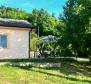 Maison dans la nature intacte de Buzet, à vendre 