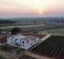 Neu gebaute Villa auf einem großartigen Grundstück in Kastelir, Porec, zu verkaufen 