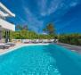 Fantastic modern villa in Privlaka area with SPA oasis, jacuzzi and swimming pool 