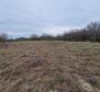 Agro land in Labin are, cca.2 hectares 