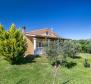 Cosy house in Ližnjan, Istria 